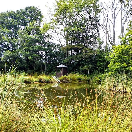 Charming Tranquil Shepherds Hut With Lakeside Balcony 'Roach' 阿克菲尔德 外观 照片