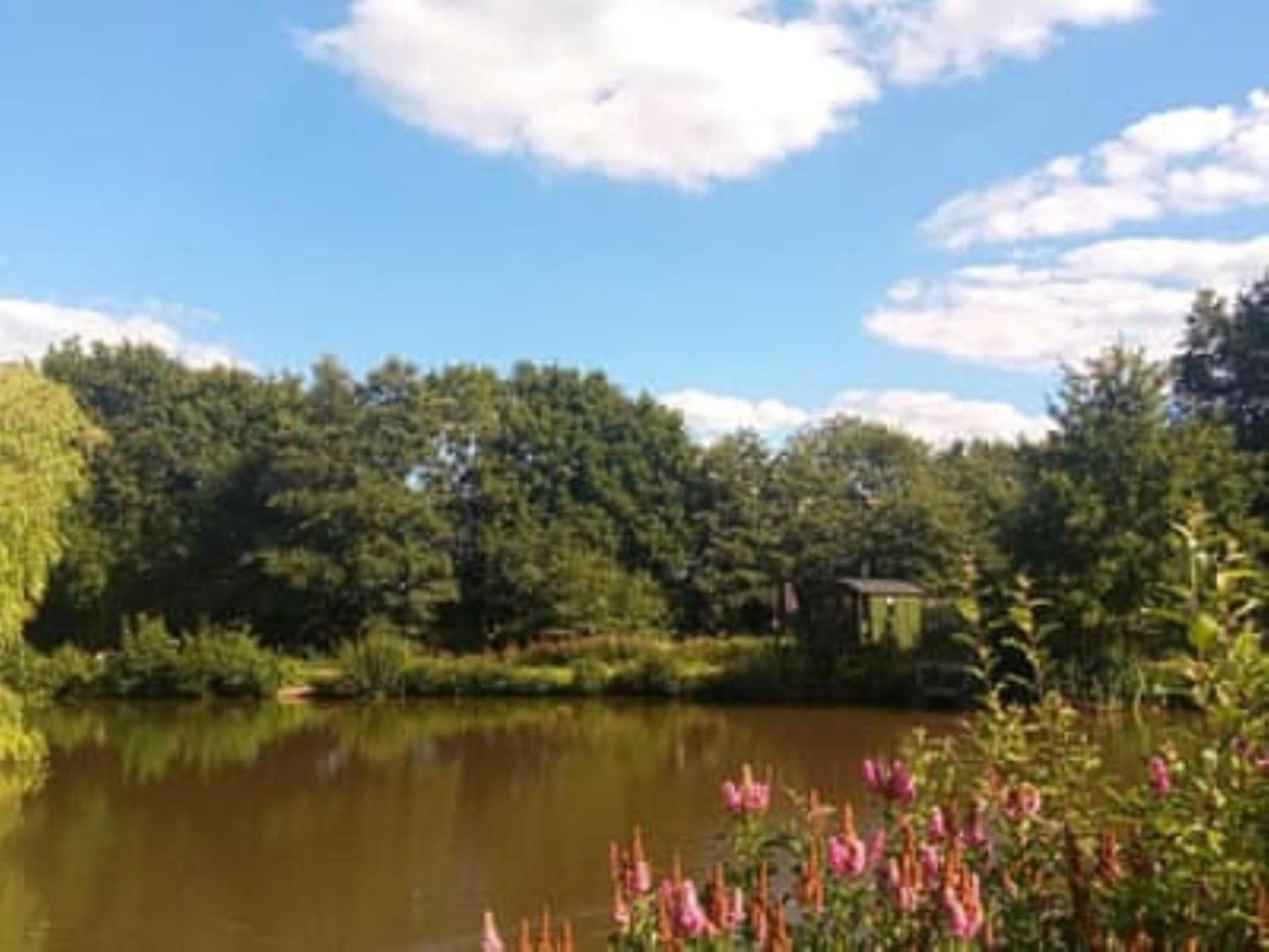 Charming Tranquil Shepherds Hut With Lakeside Balcony 'Roach' 阿克菲尔德 外观 照片