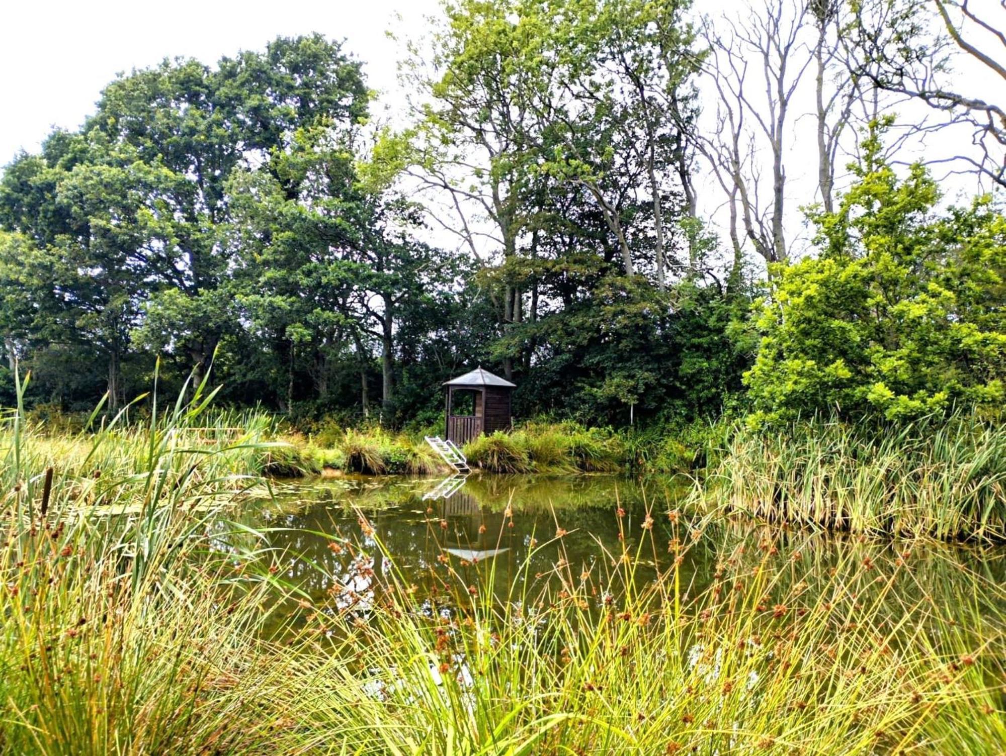 Charming Tranquil Shepherds Hut With Lakeside Balcony 'Roach' 阿克菲尔德 外观 照片