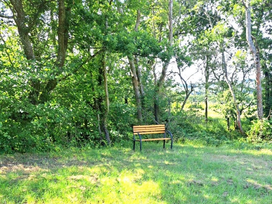 Charming Tranquil Shepherds Hut With Lakeside Balcony 'Roach' 阿克菲尔德 外观 照片